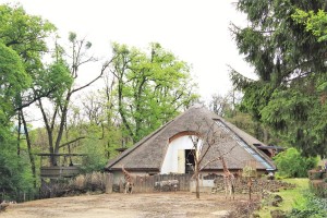 Giraffe House at the Zlín ZOO